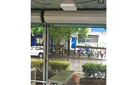 RFID���g(sh��)��(y��ng)���ڽ��������ˆT�������������